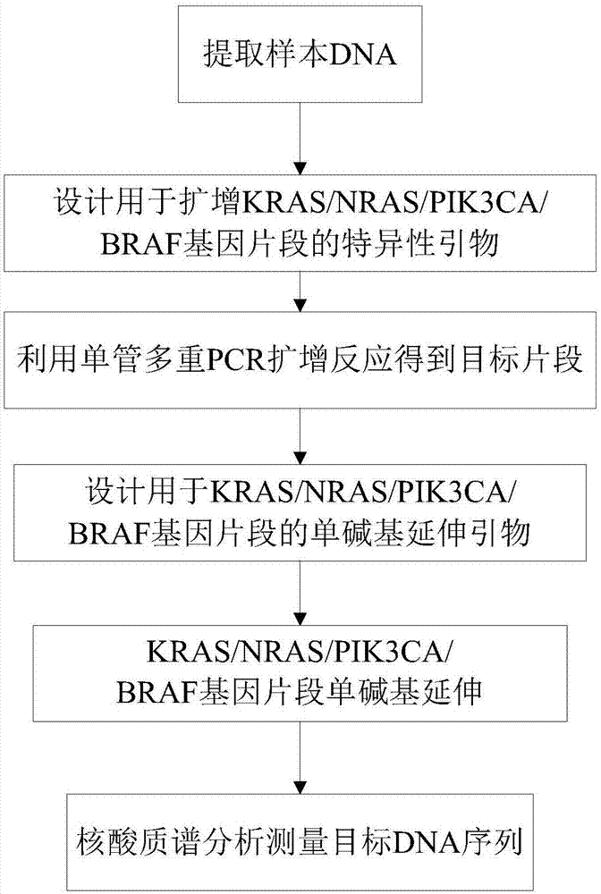 一种KRAS/NRAS/PIK3CA/BRAF基因突变联合检测方法及检测试剂盒与流程