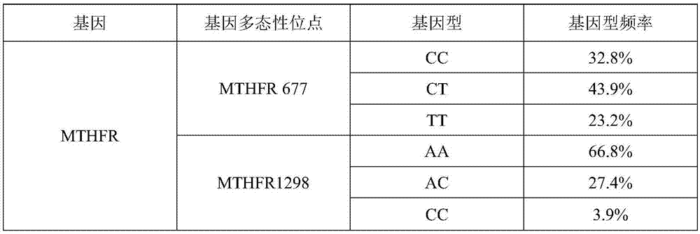 一种人类MTHFR基因多态性检测试剂盒及其制备方法和应用与流程