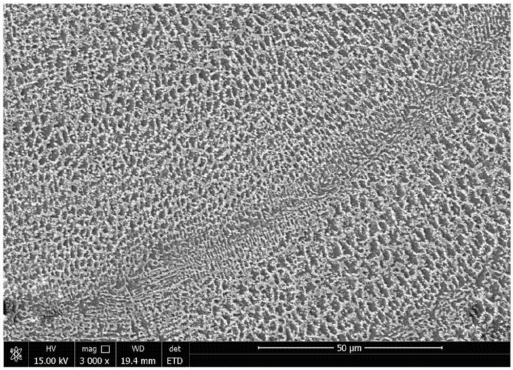 高耐蚀性原位纳米碳化物增强不锈钢植入体及其成形方法与流程