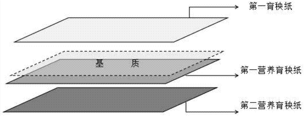 一种适合机插的大龄秧苗育秧装置及其应用的制作方法