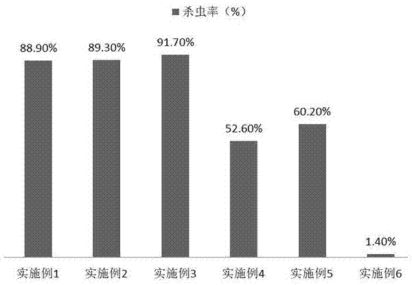 山核桃青皮在金针虫防治中的应用的制作方法