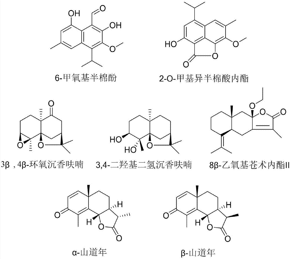 8β-乙氧基苍术内酯Ⅱ用作Grp94抑制剂的用途的制作方法