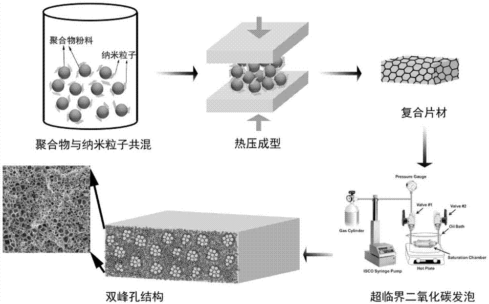 一种具有双峰孔结构的聚合物微孔发泡材料及其制备方法与流程
