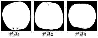 基于高光谱成像技术的苹果表面缺陷快速无损识别方法与流程