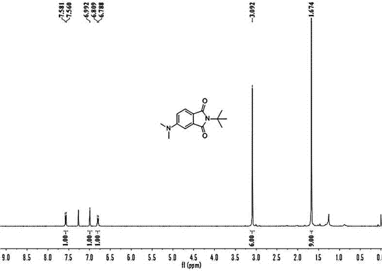 利用亚胺为起始原料一步构建2-叔丁基-5-二甲胺基异吲哚啉-1，3-二酮的方法与流程