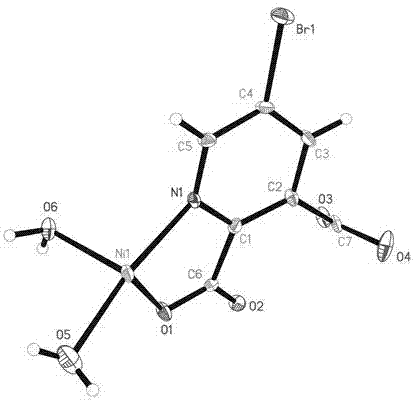 5-溴吡啶-2,3-二羧酸镍配合物及其制备方法与流程