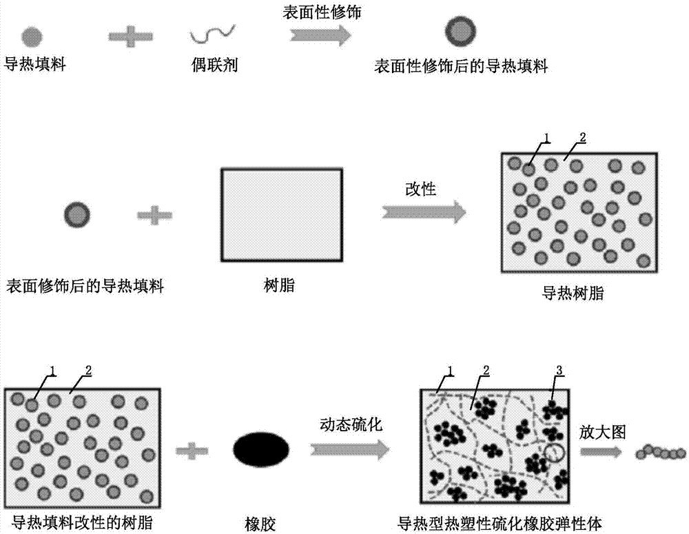 一种导热型热塑性硫化橡胶弹性体材料的制备方法及产品与流程