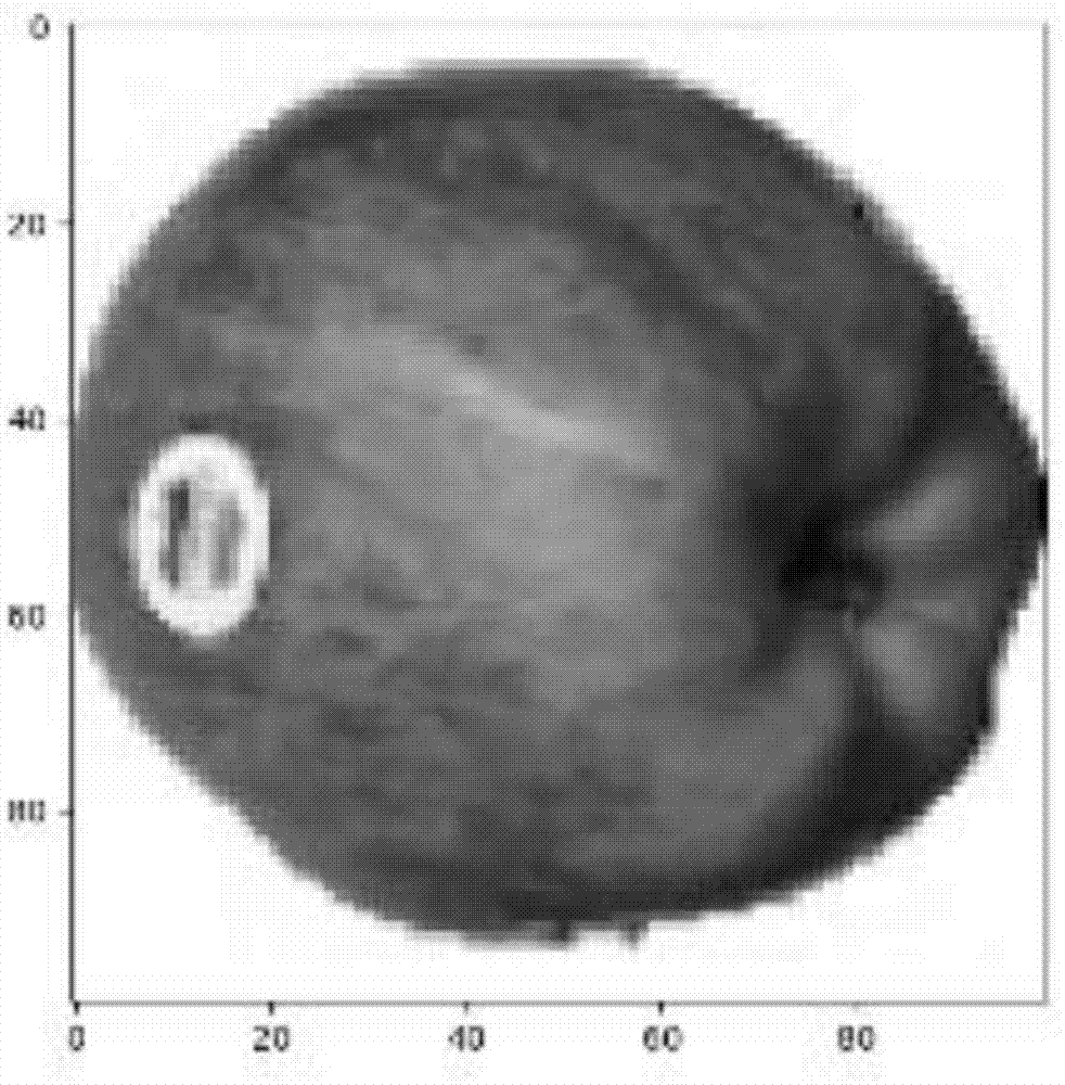 一种基于图像多特征融合的水果分类方法及应用与流程