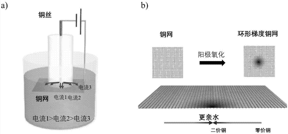 一种环形浸润性梯度铜网及其制备方法与流程