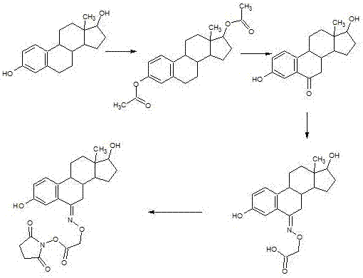一种雌二醇酶结合物的制备方法与流程