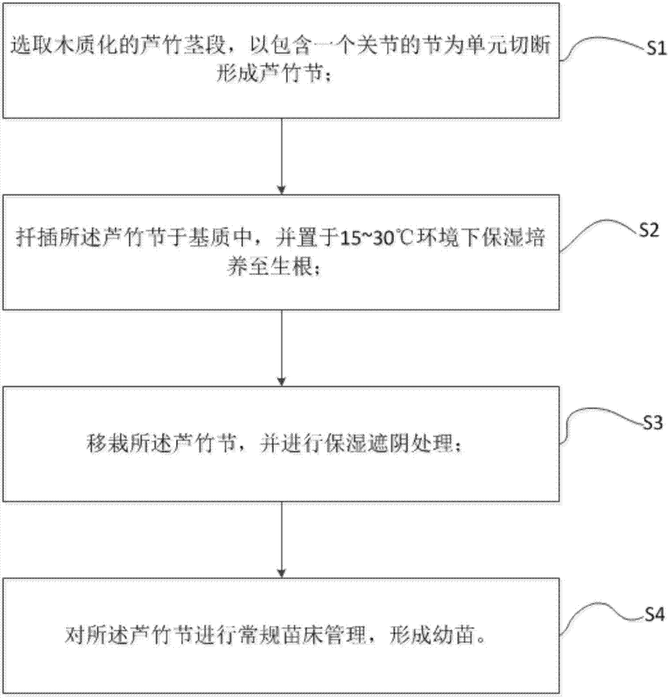 一种芦竹无糖快繁的方法与流程