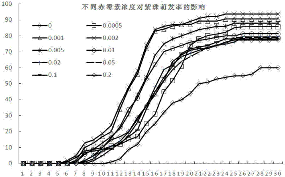 一种利用赤霉素提高紫珠种子萌发率的方法与流程