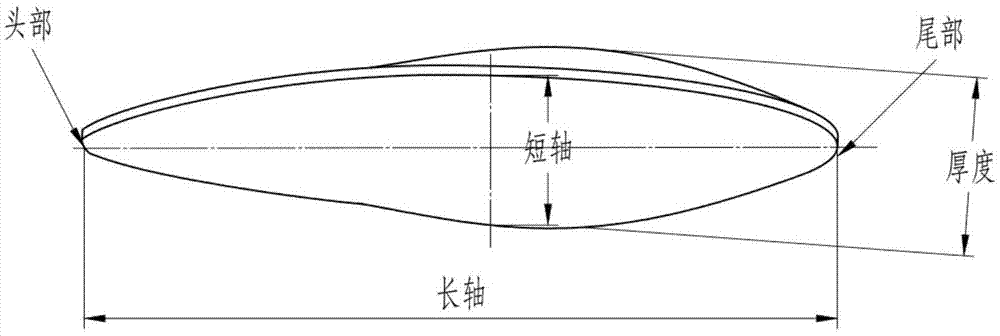 南瓜籽定距定向排种装置及其定距与定向方法与流程