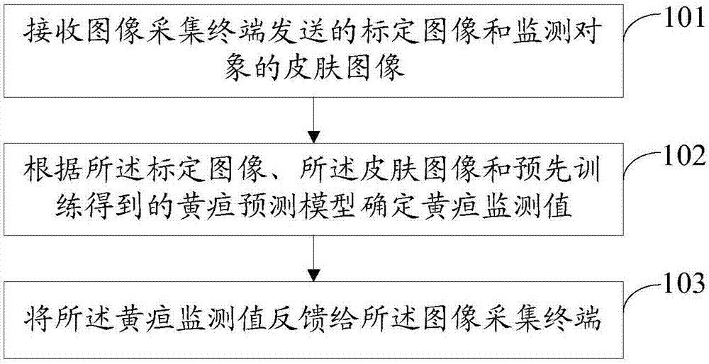 一种黄疸监测方法及装置与流程