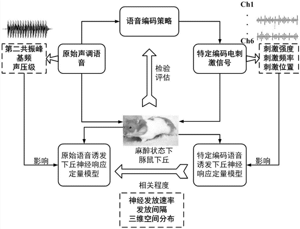 人工耳蜗声调语言的时域精细结构新型编码的验证方法与流程