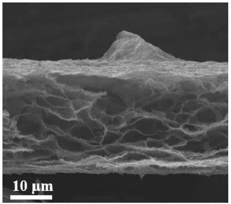 多孔型石墨烯/过渡金属硫属化合物薄膜的制备方法与流程