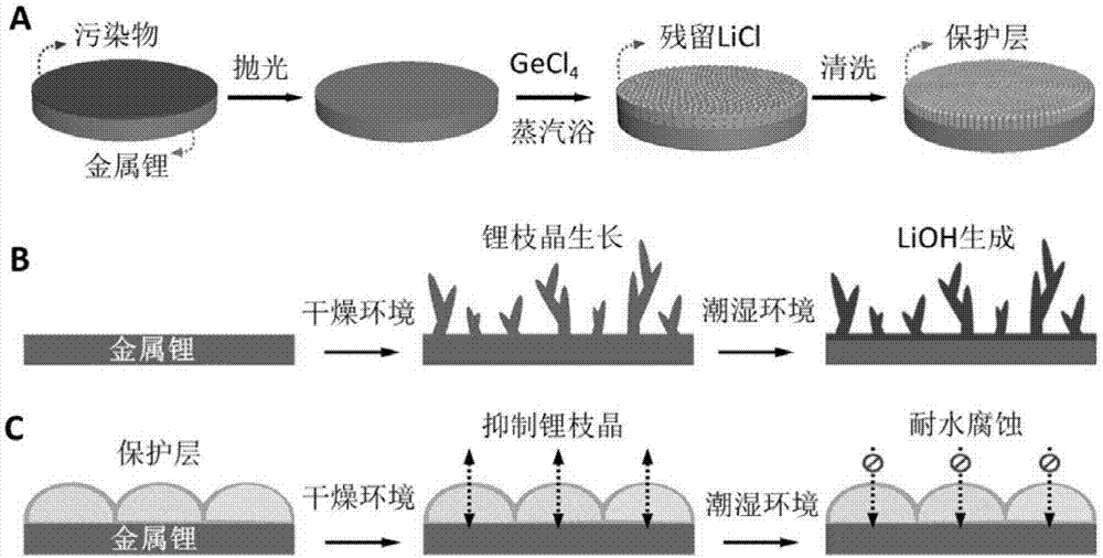 锂负极保护层及其制备方法和应用与流程