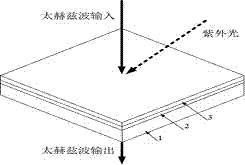 基于钠掺杂氧化锌纳米簇的太赫兹波开关的制作方法