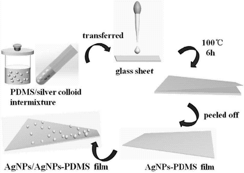 基于银纳米颗粒的复合柔性表面增强拉曼基底及其制备方法与流程