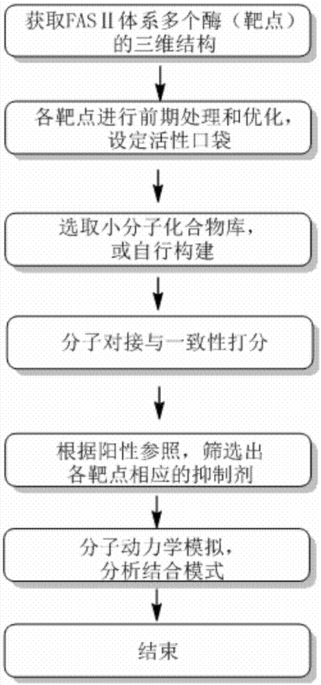 基于细菌脂肪酸合成途径中多靶点的抗菌剂虚拟筛选方法与流程