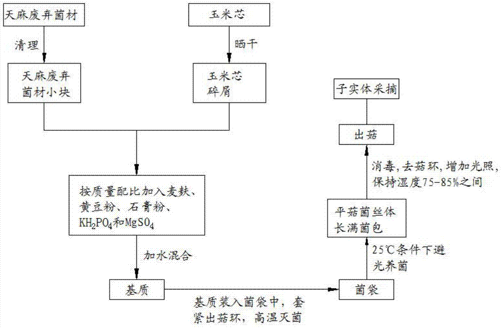 一种以天麻废弃菌材和玉米芯为主要基质袋料栽培平菇的方法与流程