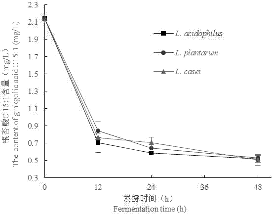 一种基于益生菌发酵降低白果汁中银杏酸含量的方法与流程