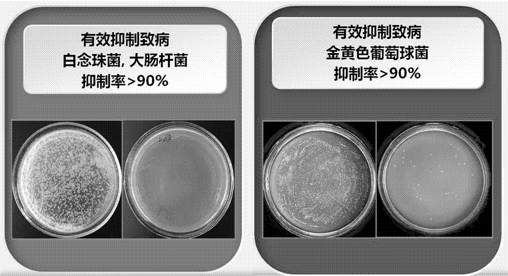 一种电解水制备的美容面膜及其制备方法与流程