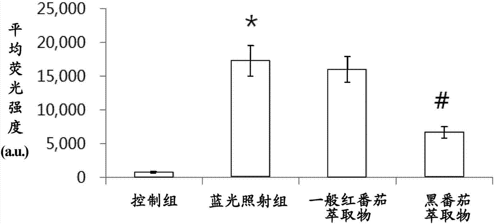 黑西红柿萃取物降低眼压、减少蓝光所致视网膜损伤、及提升眼睛调节灵活度的用途的制作方法