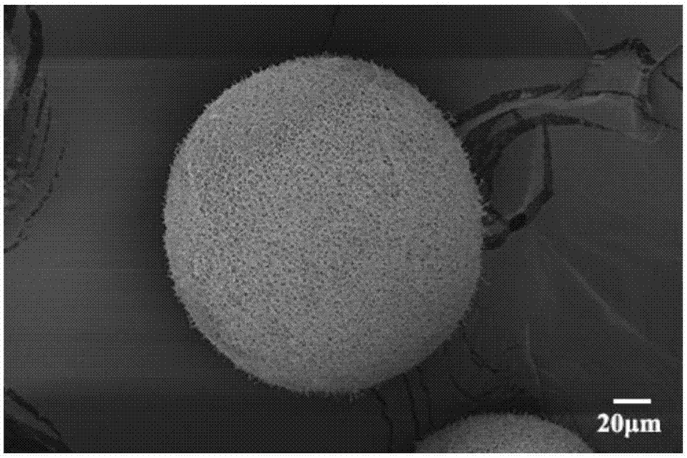 一种柠檬烯乳化制备壳聚糖微球的方法与流程