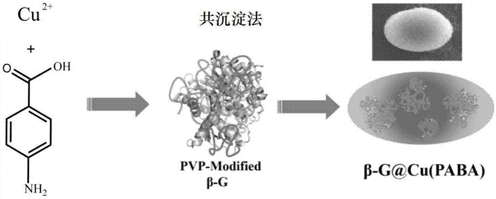 金属有机框架材料固定化β-葡萄糖苷酶及其制备方法和应用与流程