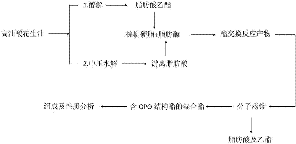 一种富含OPO结构脂的混合酯的制备方法与流程