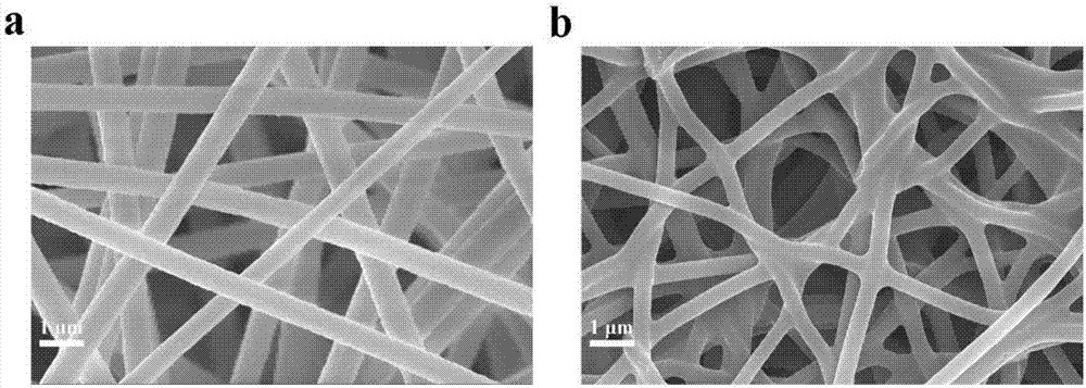 一种交联多孔碳纳米纤维及其制备方法与流程