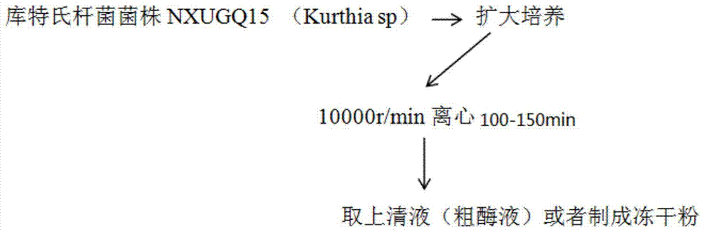 一种类胡萝卜素降解酶的制作方法