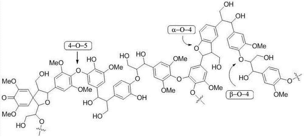 一种将二芳基醚转化成N-环己基苯胺类化合物的方法与流程