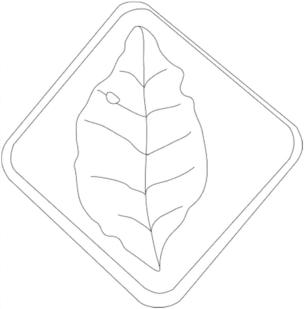 柑桔叶片病害固化标本的制作方法与流程