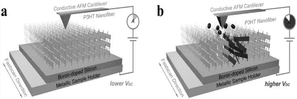一种利用扫描探针构筑共轭聚合物纳米导电图案的方法与流程