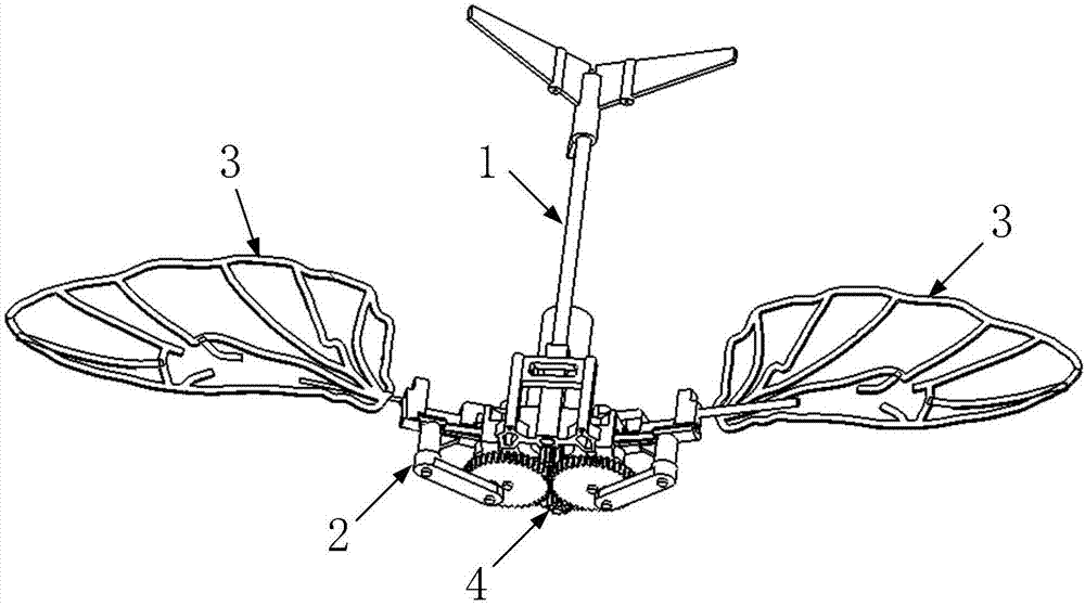 基于曲柄摇杆与被动旋转机构的微型仿生扑翼飞行器的制作方法