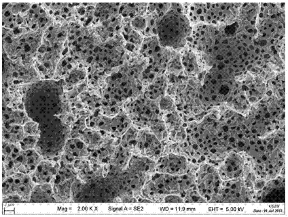 一种具有三维贯通气孔特征的蜂窝结构TiO2片层的合成方法与流程