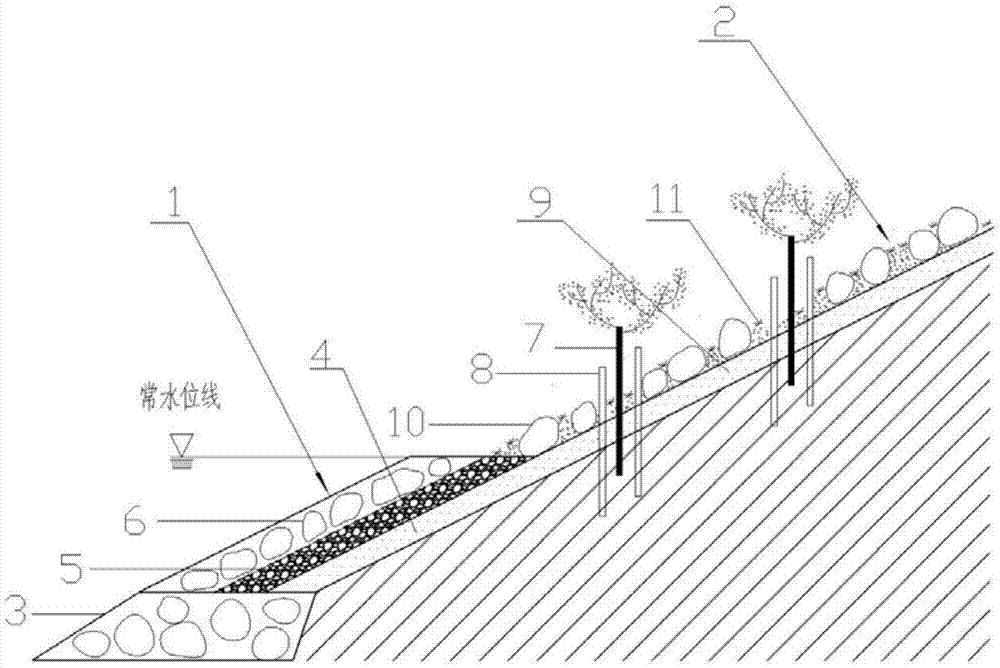 一种园林河岸生态护坡结构的制作方法