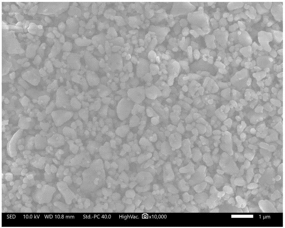 陶瓷涂覆隔膜浆料、陶瓷复合隔膜及其制备方法和应用与流程