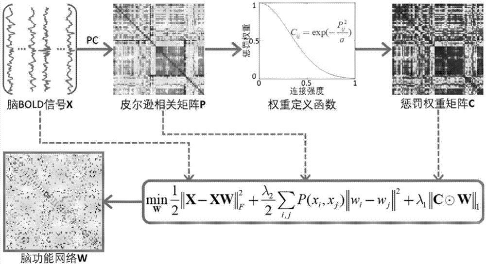 一种加权图正则化稀疏脑网络构建方法与流程