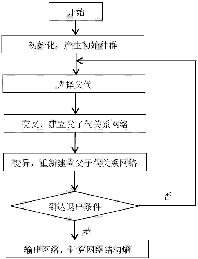 基于复杂网络结构熵的遗传算法信息流网络属性分析方法与流程