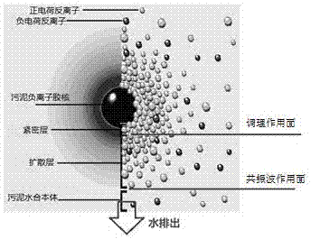 一种波共振污泥深度脱水技术的制作方法