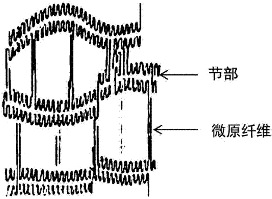 聚乙烯系树脂多孔中空纤维膜、分离膜及它们的制造方法与流程