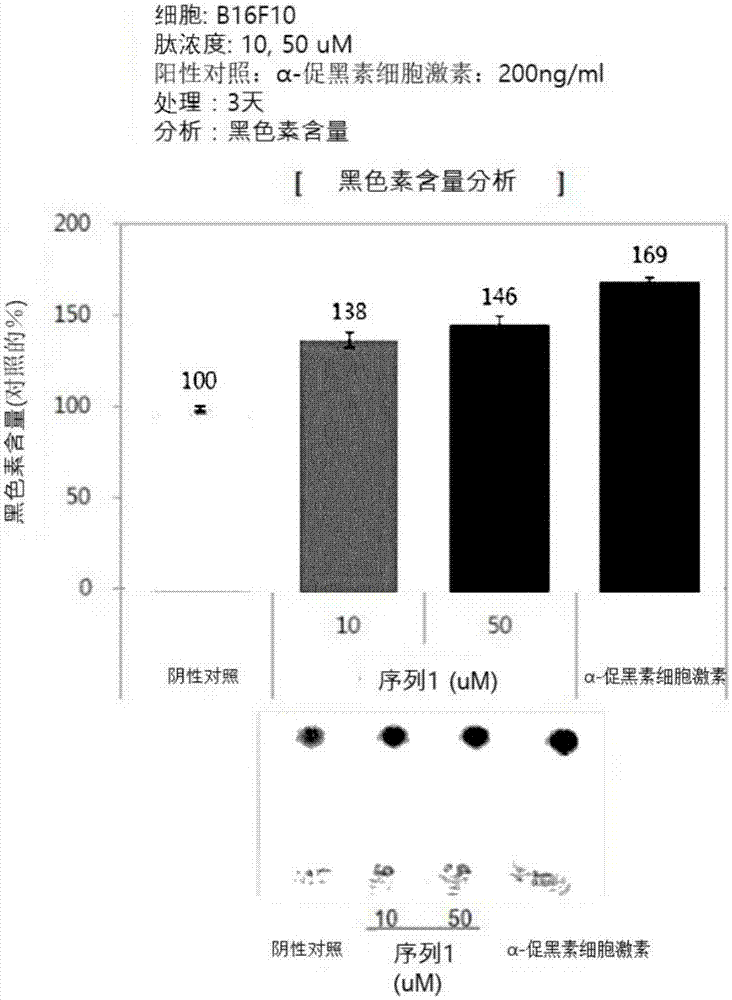 呈现黑色素生成促进活性的肽及其的用途的制作方法