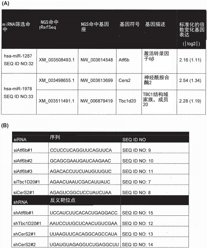 用于生产分泌蛋白质的哺乳动物细胞的制作方法