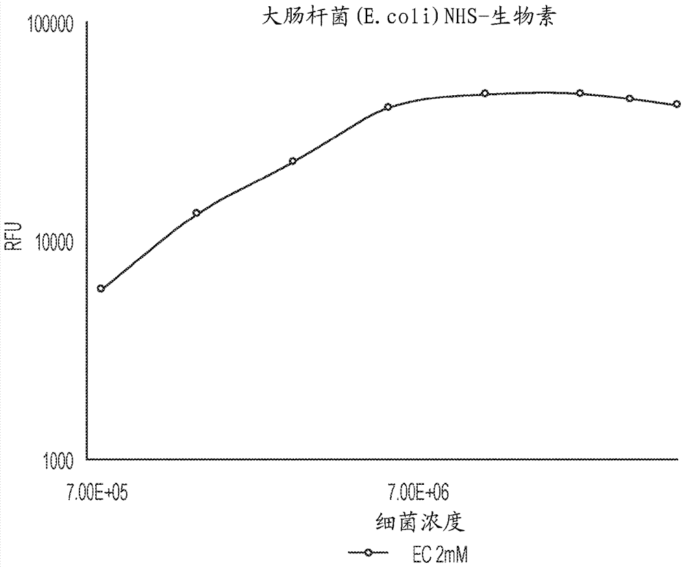 用于快速抗微生物剂敏感性测试的方法与流程