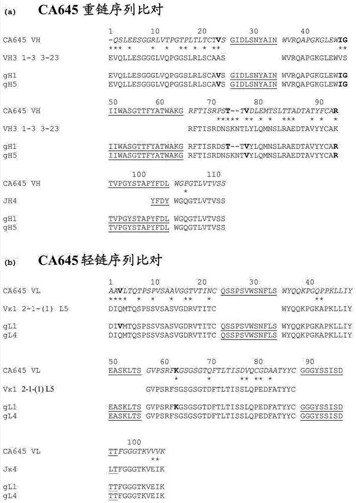 亲和力改造的血清蛋白载体结合结构域的制作方法