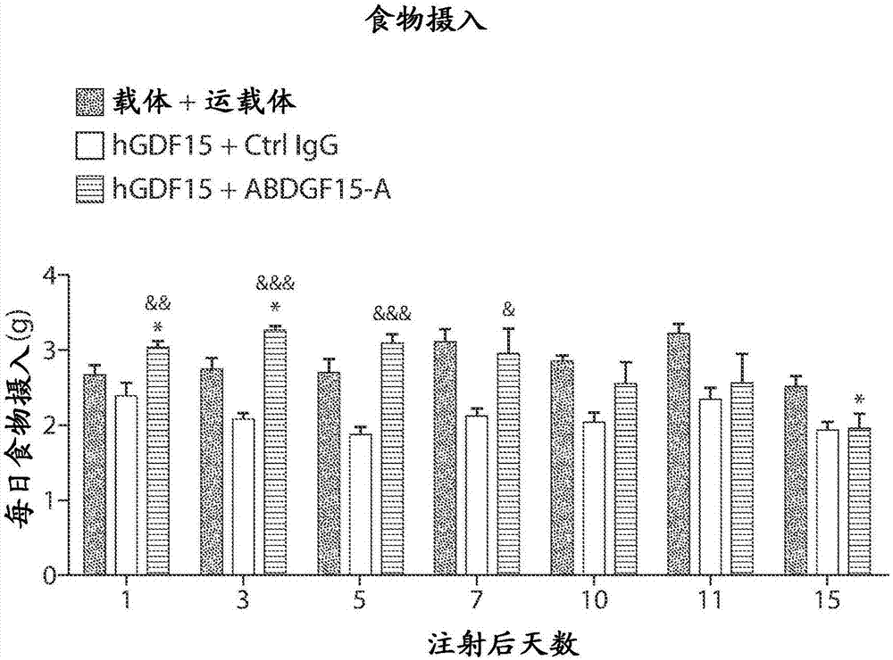 抗生长分化因子15的抗体及其用途的制作方法