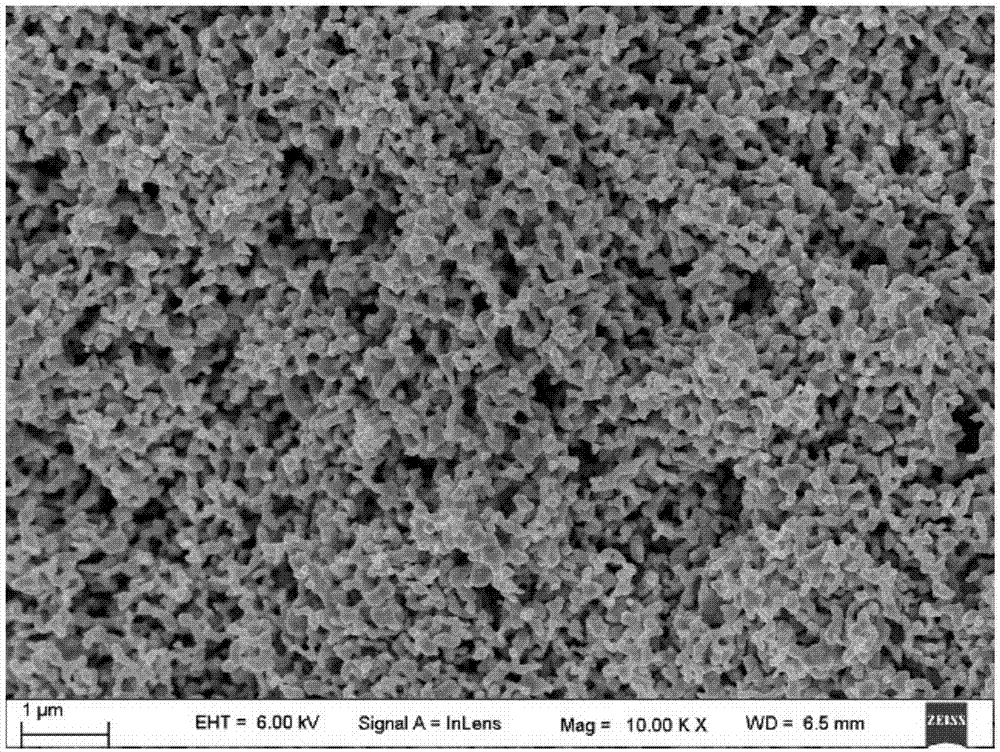 具有海绵状微观结构的金属粉末及其制备方法,导电材料